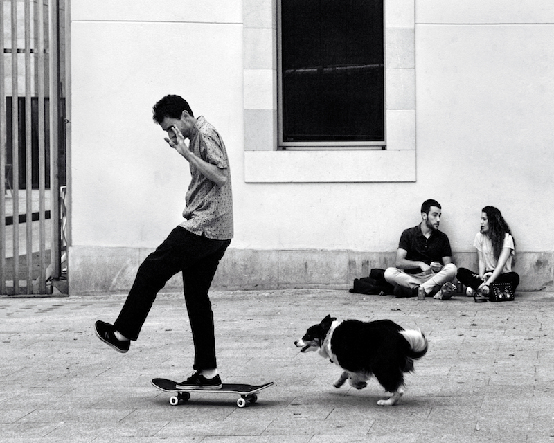 Dog Chasing Skate 8×10